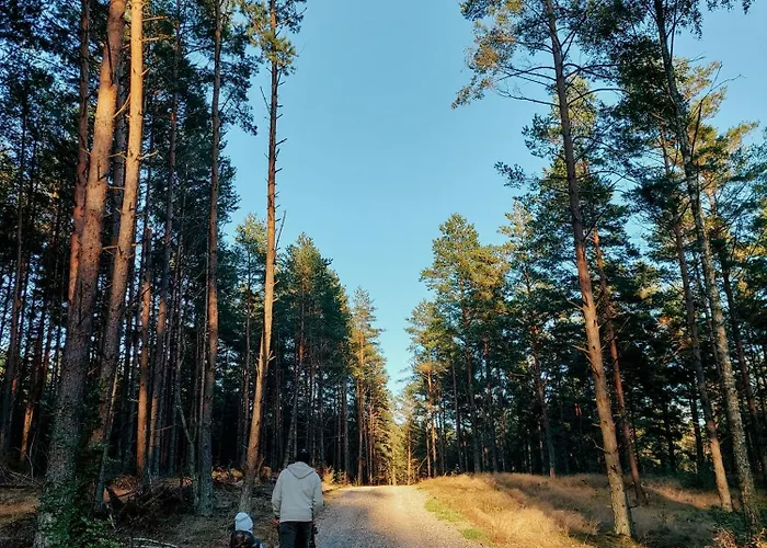 Cudnie Tu - Na Kaszubach Semesterbostad *